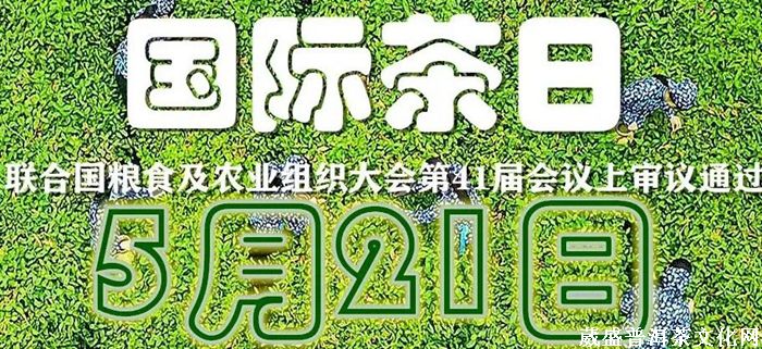 一山一味||同一款茶，兩次品茗？
